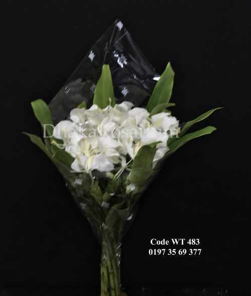 Ginger lily (Dolonchapa) WT- 483