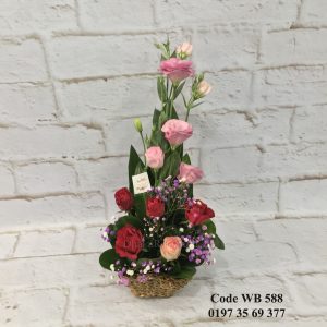 WB 588