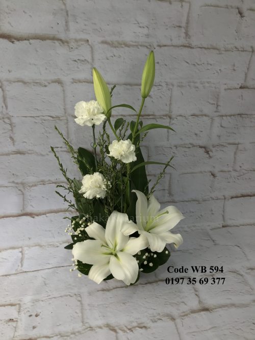 WB 594