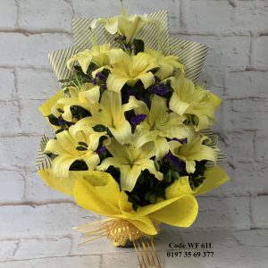 WF 611