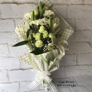 WT 672