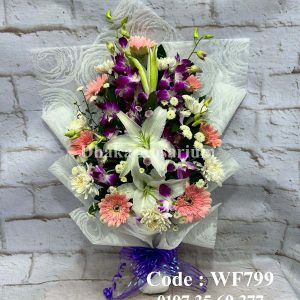 WF 799
